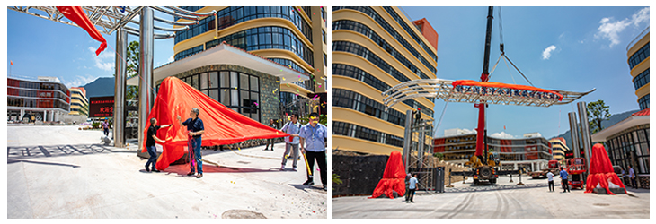 1625798009463216.jpg 2.jpg