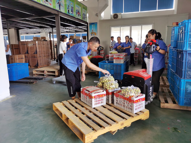 1631166073724100.jpg 101 (1).jpg