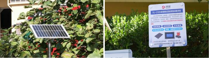 1661404337544912.jpg 301.jpg