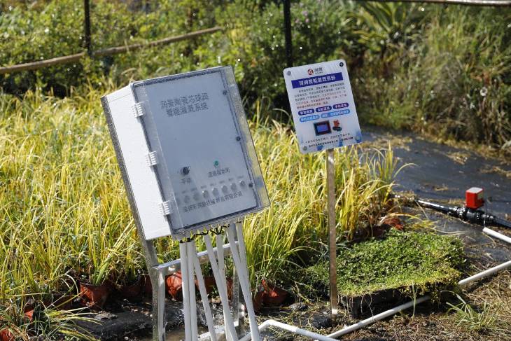 1661404351632477.jpg 601.jpg