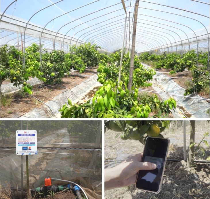 1661924576710556.jpg 301.jpg