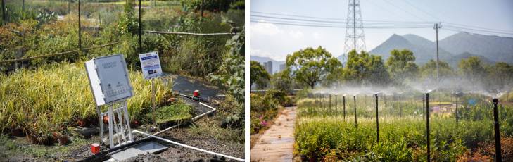 1662430369899020.jpg 601.jpg