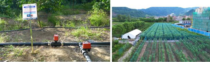 1662430386318409.jpg 901.jpg