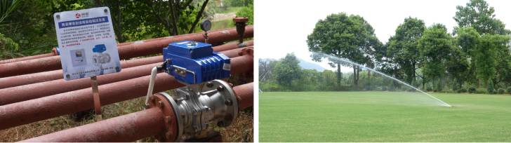 1662430397954217.jpg 1101.jpg