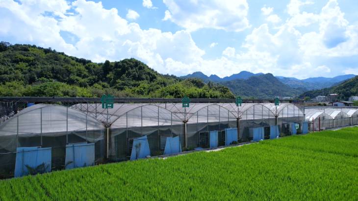 1662707561636504.jpg 101.jpg