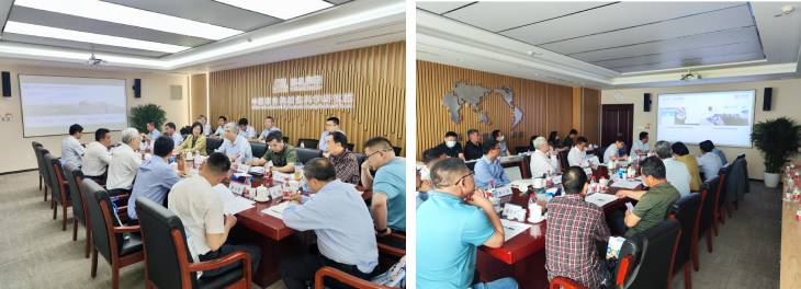 1684177764842824.jpg 101.jpg