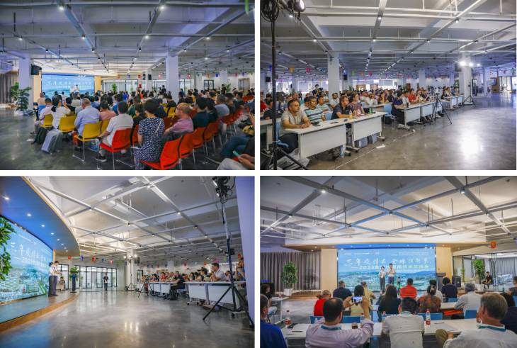 1685753010544039.jpg 101.jpg