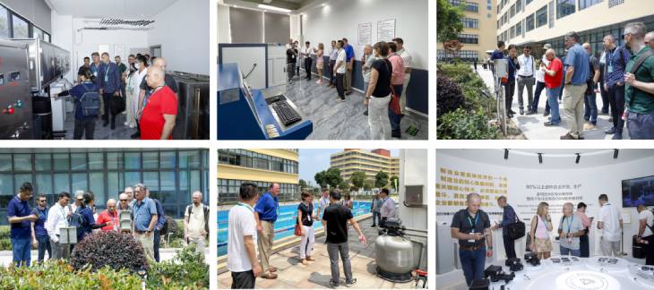 1685755066651952.jpg 203.jpg