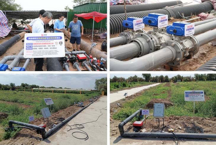 1690160013182633.jpg 401.jpg