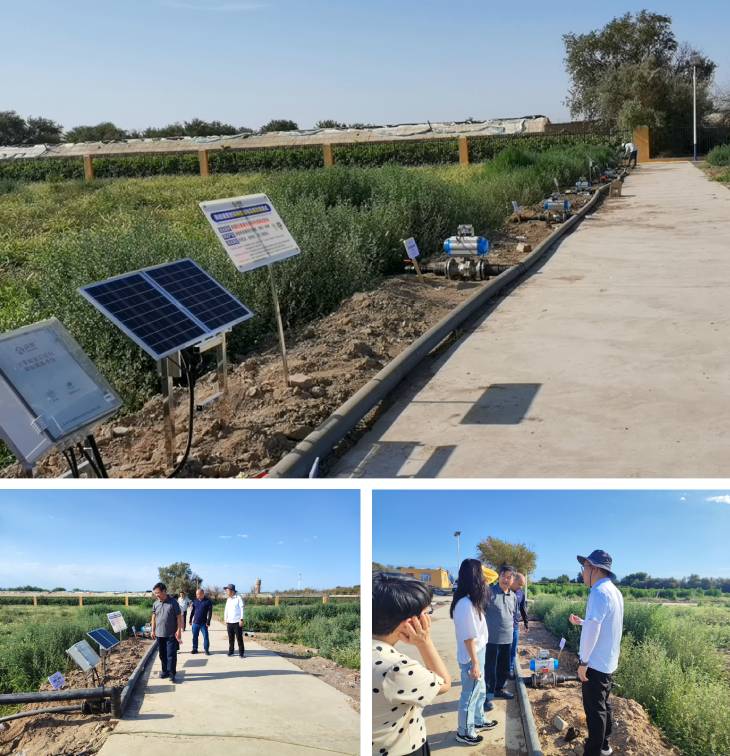 1691541643656196.jpg 201.jpg