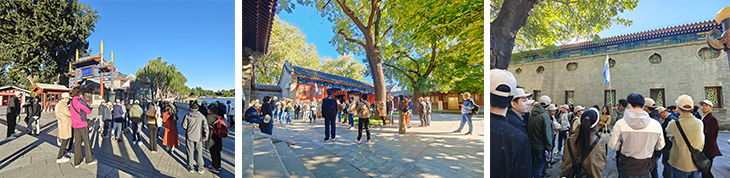 1698204652220127.jpg 602.jpg