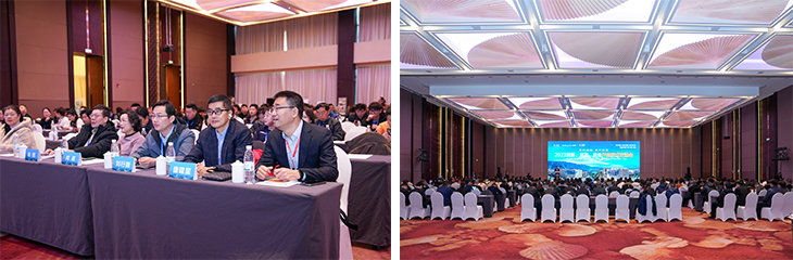 1703311660308363.jpg 101.jpg