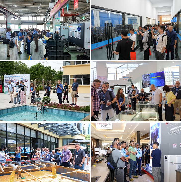 1717463684991158.jpg 201.JPG