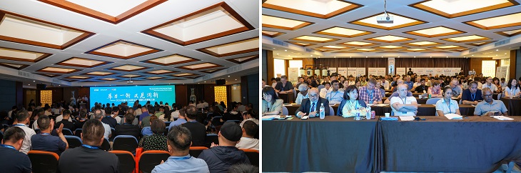 1717463879325782.jpg 101.JPG