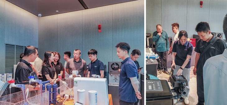 1720232052338407.jpg 401.jpg