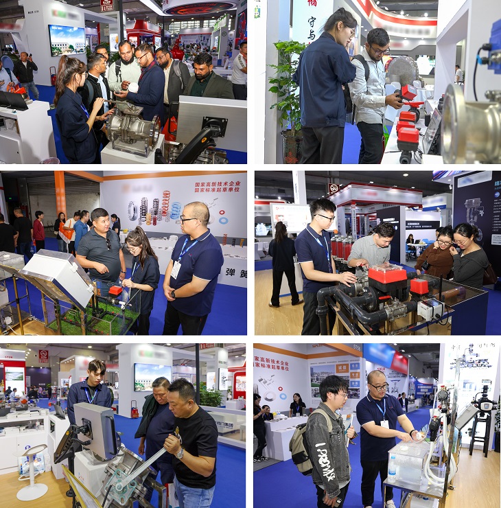 1728871728185671.jpg 301.JPG